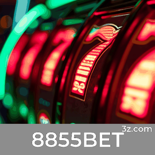 Plataforma 8855BET: Conexões e Experiências Compartilhadas